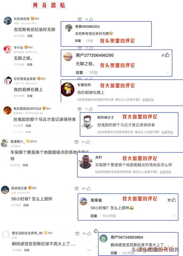 网易号自媒体平台怎么注册（网易号自媒体平台注册手机端）