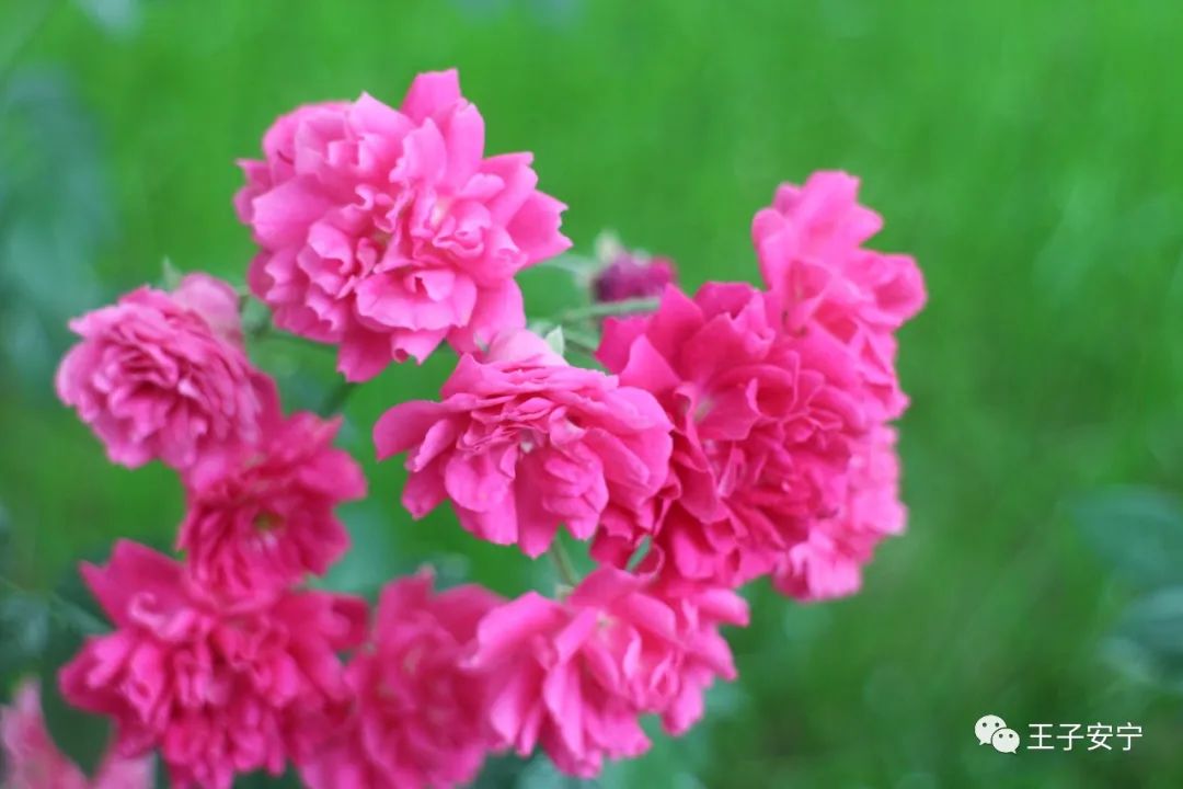 219@365今日立秋：云天收夏色，木叶动秋声（原创）